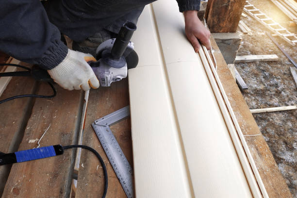 Best Custom Siding Design  in Grand Haven, MI