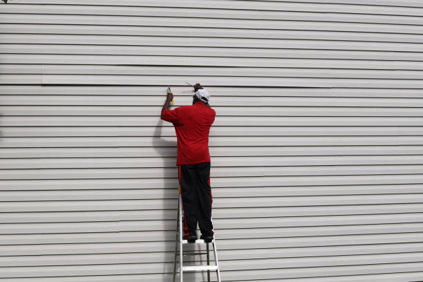 Best Stucco Siding  in Grand Haven, MI